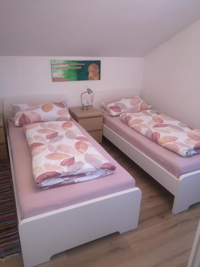 Ferienwohnung Alpenblick آينرنغ المظهر الخارجي الصورة